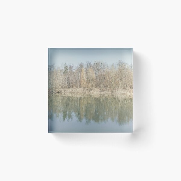 Item preview, Trees are reflected in the water of the forest lake designed and sold by Ingo Menhard.