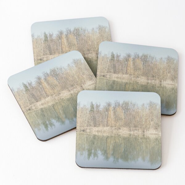 Item preview, Trees are reflected in the water of the forest lake designed and sold by Ingo Menhard.