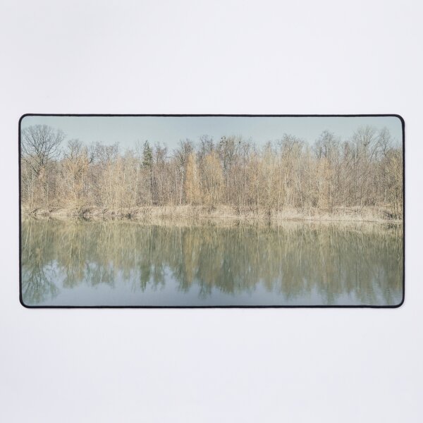 Item preview, Trees are reflected in the water of the forest lake designed and sold by Ingo Menhard.