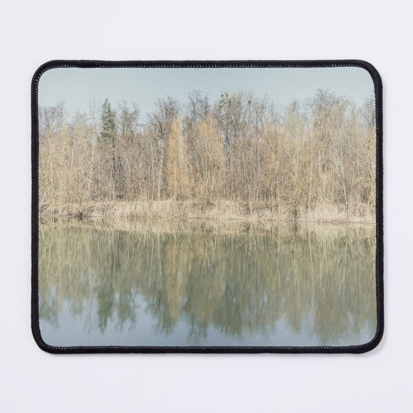 Item preview, Trees are reflected in the water of the forest lake designed and sold by Ingo Menhard.