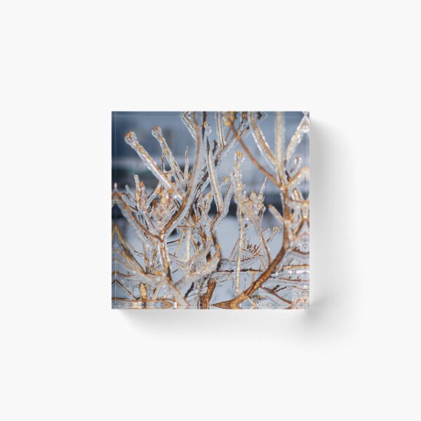 Winter-Frost-Tree Acrylic Block
