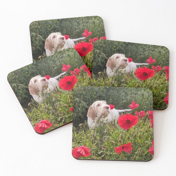 Item preview, Spinone puppy with poppies by heidiannemorris © designed and sold by FOLK ART FUSION by heidiannemorris.