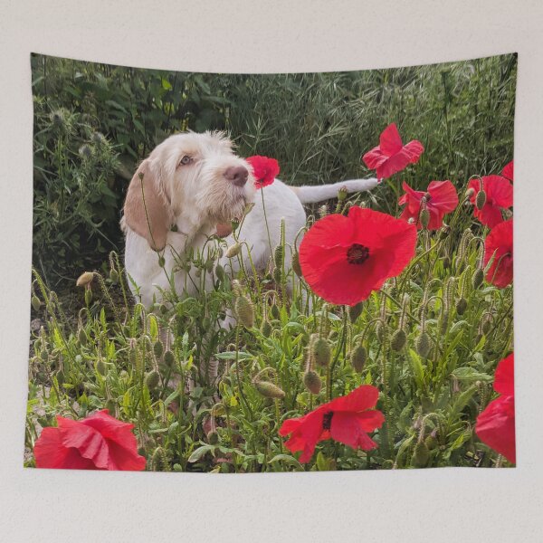 Item preview, Spinone puppy with poppies by heidiannemorris © designed and sold by FOLK ART FUSION by heidiannemorris.