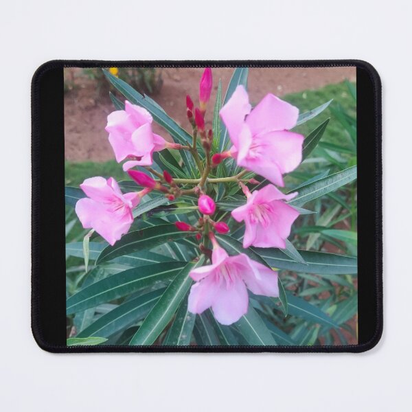 Item preview, pink flower designed and sold by Mountizey.