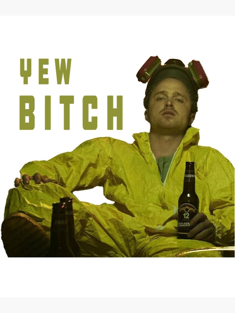 Jesse Pinkman Yew Bitch Poster For Sale By Gaynelleshop Redbubble