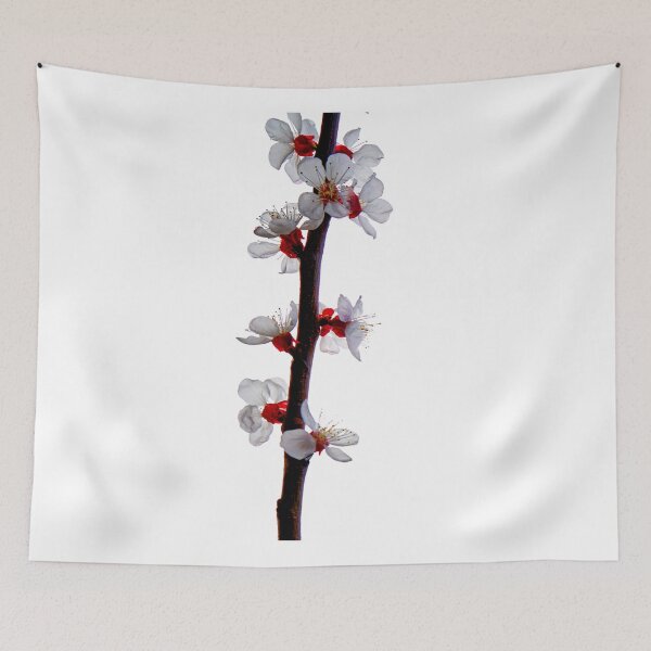 Aperçu de l'œuvre cherry blossom créée et vendue par IgorKovalenko.