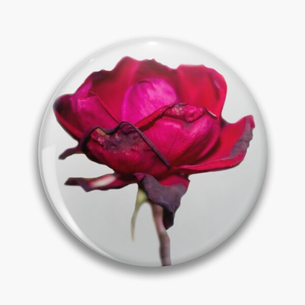 Item preview, Wilting Rose 1 designed and sold by Sonja Martin Photography.
