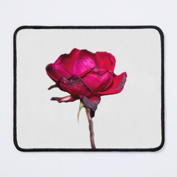 Item preview, Wilting Rose 1 designed and sold by Sonja Martin Photography.