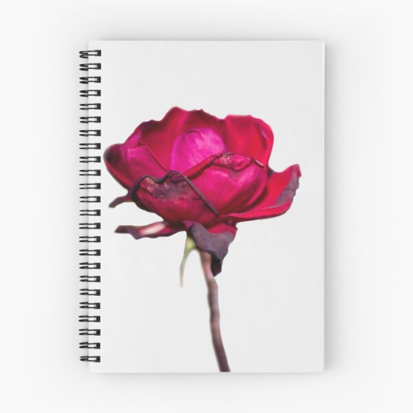 Item preview, Wilting Rose 1 designed and sold by Sonja Martin Photography.