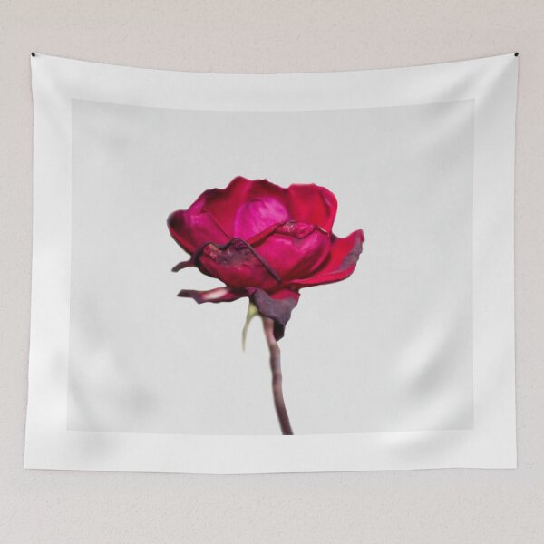 Item preview, Wilting Rose 1 designed and sold by Sonja Martin Photography.
