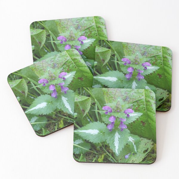 Item preview, Spotted Deadnettle designed and sold by Photos-by-Eddie.