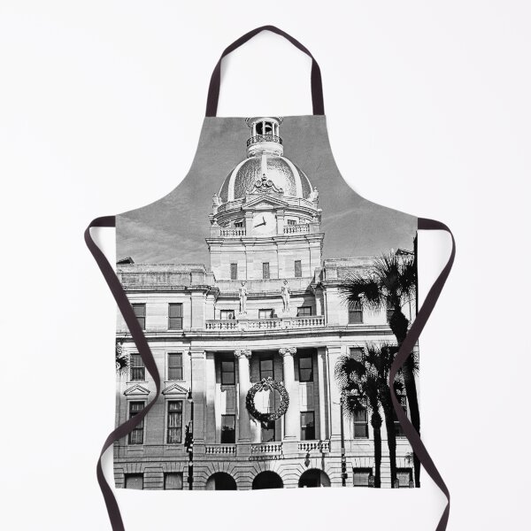 Item preview, Savannah Georgia City Hall Black And White designed and sold by LisaWootenPhoto.