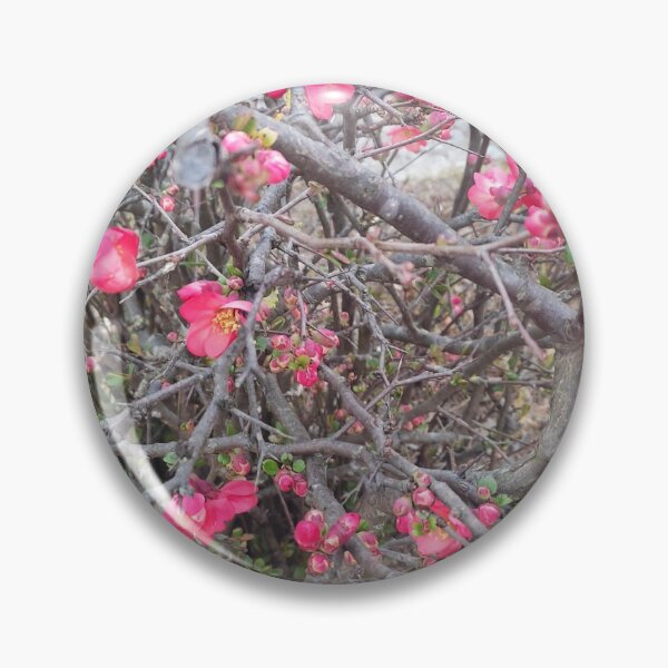 Artikelvorschau, Blossomin-Frühling entworfen und verkauft von AnaRakanovic.
