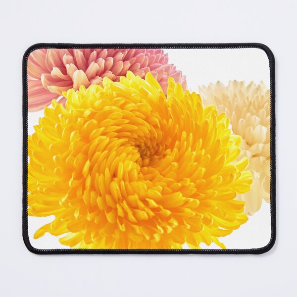 Item preview, chrysanthemum flowers designed and sold by IgorKovalenko.