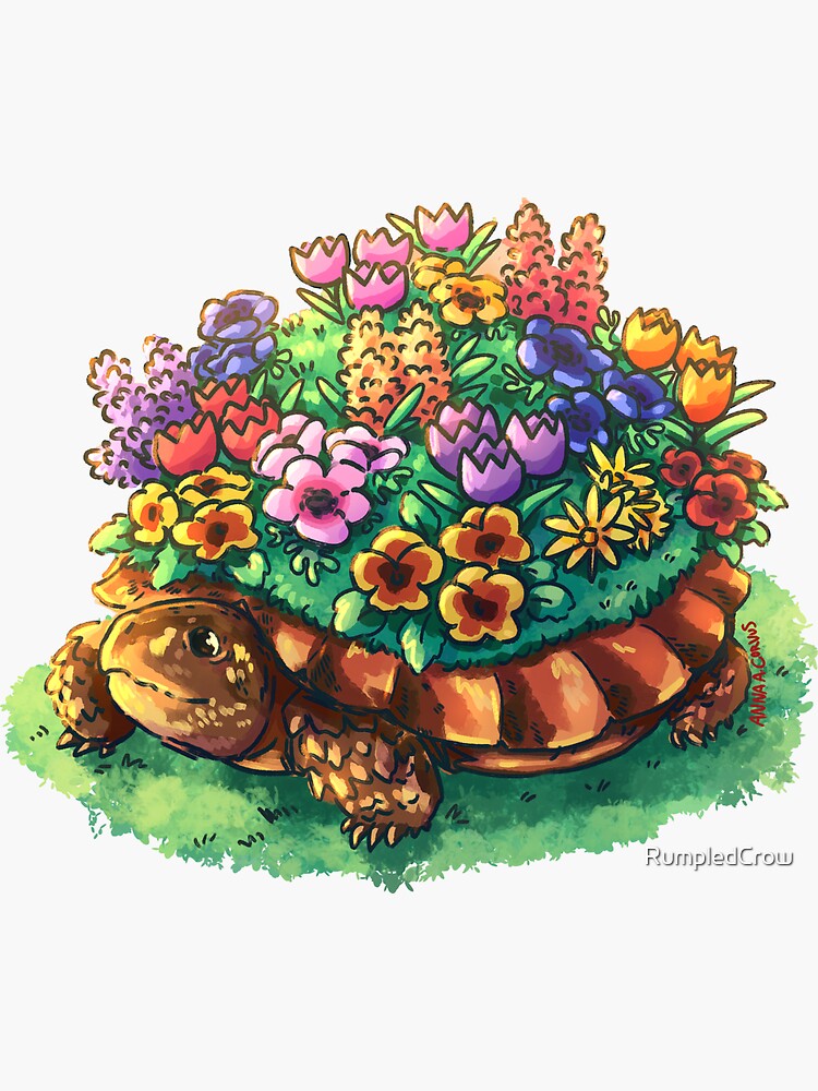 Flower Box Turtle