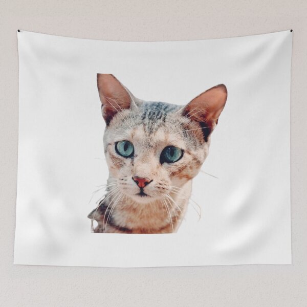 Aperçu de l'œuvre CHAT TABBY MARRON CLAIR AUX YEUX BLEUS créée et vendue par giantstep.