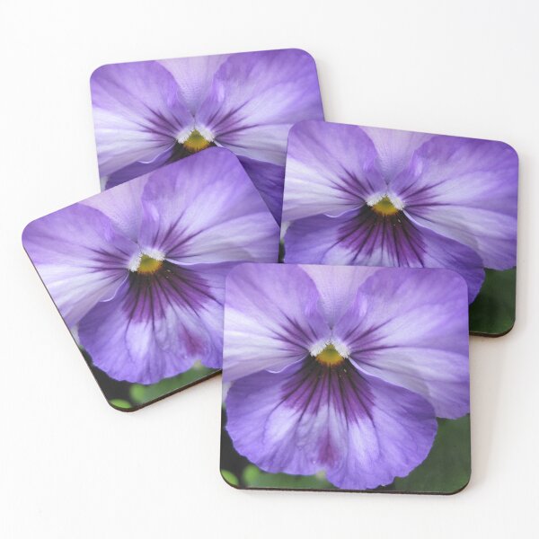 Item preview, Purple Pansy designed and sold by CapeCodGiftShop.