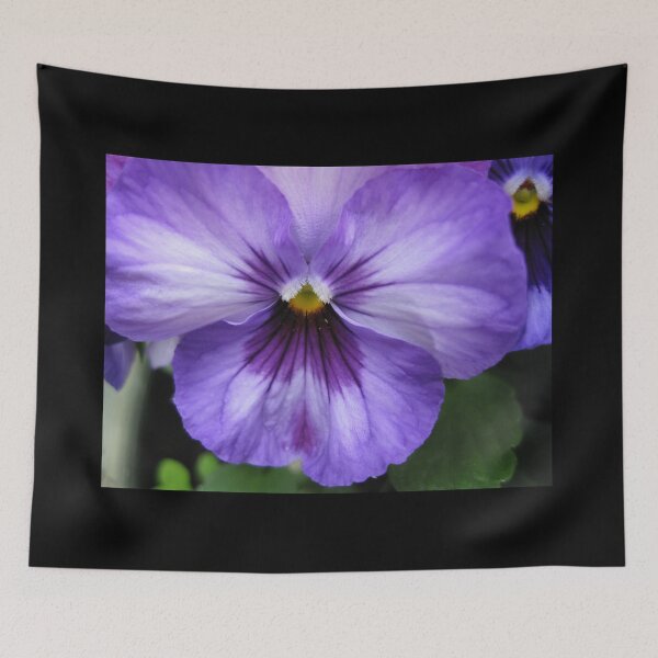Item preview, Purple Pansy designed and sold by CapeCodGiftShop.