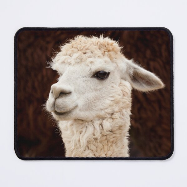 Item preview, Curly White Pretty Alpaca with Numbers designed and sold by Cawaiico.