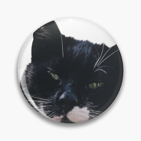 Item preview, SERIUOS BLACK AND WHITE CAT #4 designed and sold by giantstep.