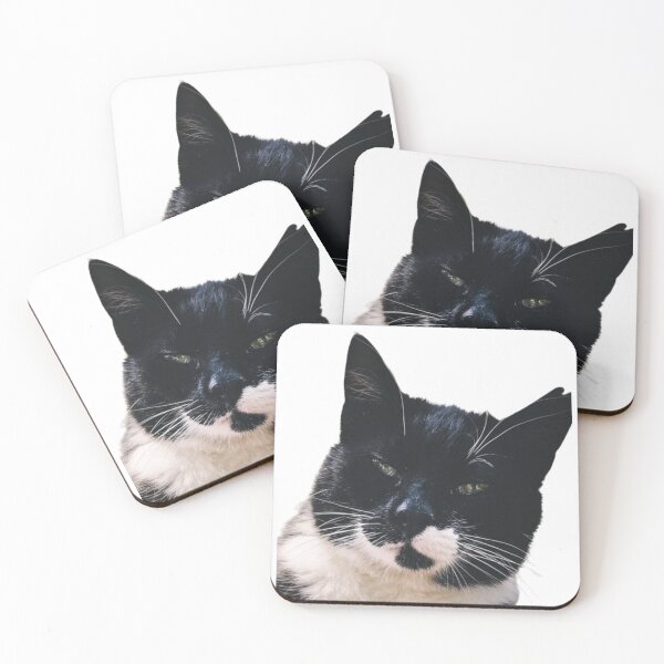 Item preview, SERIUOS BLACK AND WHITE CAT #4 designed and sold by giantstep.