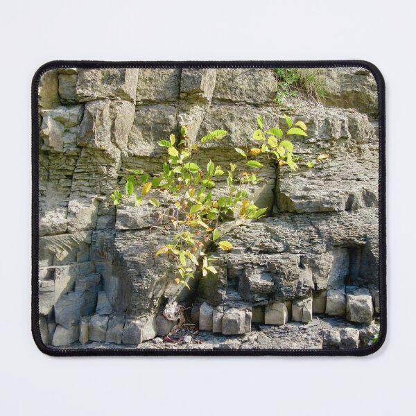 Item preview, Eroding cliffs along the Ottawa River, Ottawa, ON designed and sold by Shulie1.