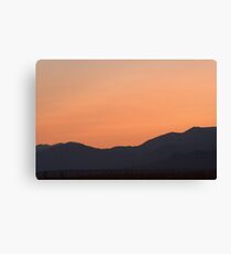 Pink Peace Canvas Print