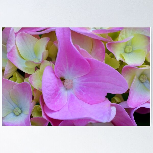 Item preview, Remembering the Colors of Summer designed and sold by Kathilee.