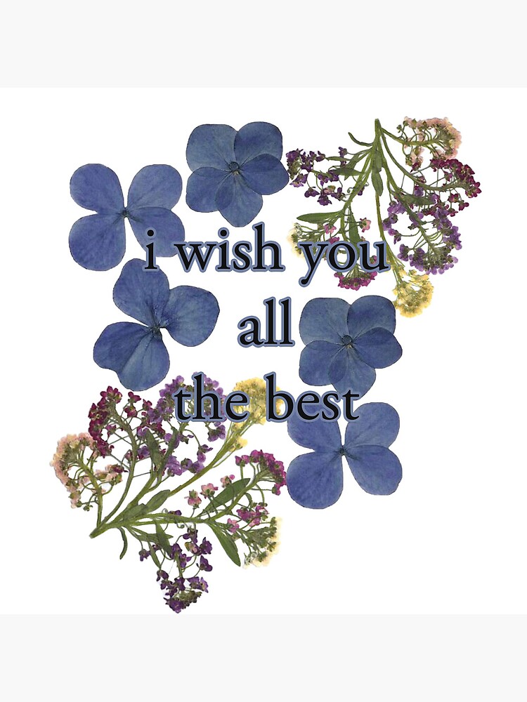 i-wish-you-all-the-best-poster-for-sale-by-stillar00kie-redbubble