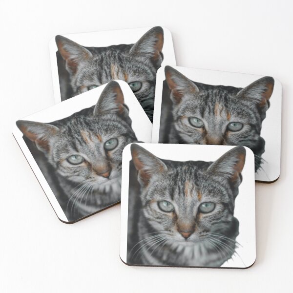 Item preview, MYSTERIOUS GRAY TABBY CAT #3 designed and sold by giantstep.