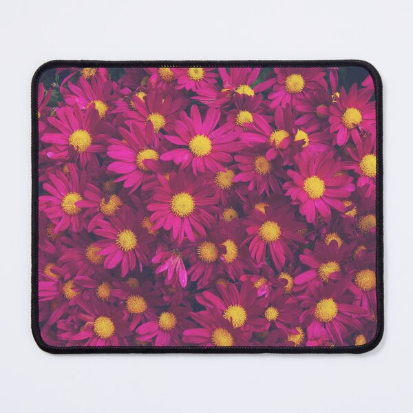 Item preview, Purple Yellow African Daisies Bunch designed and sold by CarolinaReina.