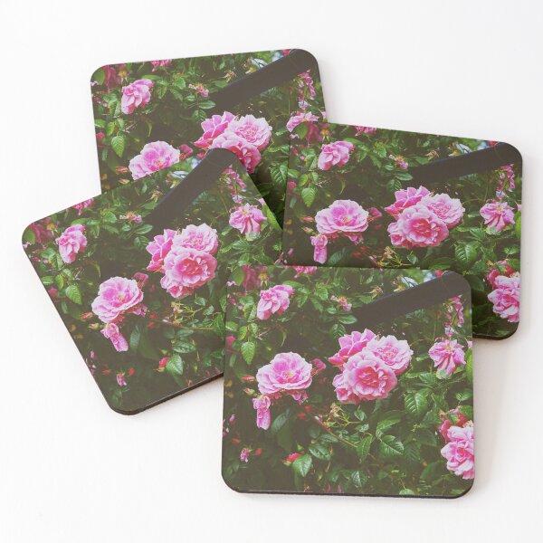 Item preview, Pink Roses Blooms - Vintage Nature Photography designed and sold by CarolinaReina.
