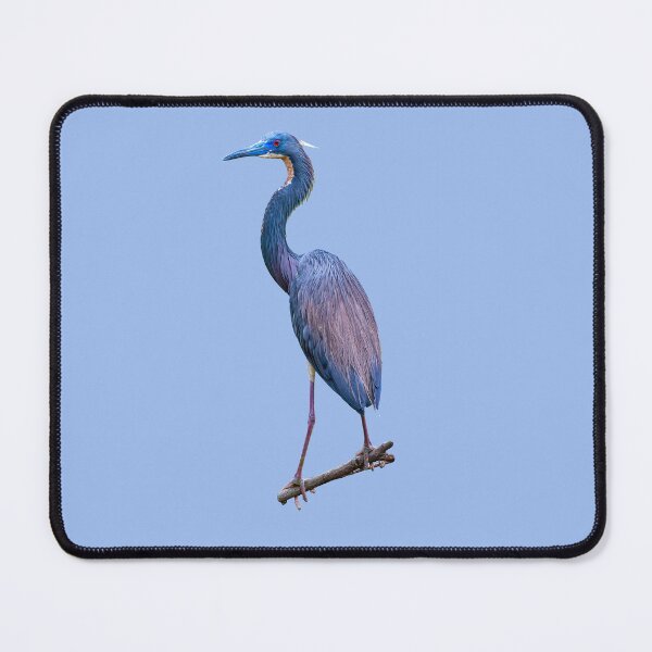 Item preview, Tri Coloured Heron designed and sold by Dalyndigital Photography.