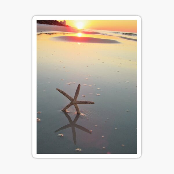 Item preview, Seastar at sunrise designed and sold by ChatStroh.