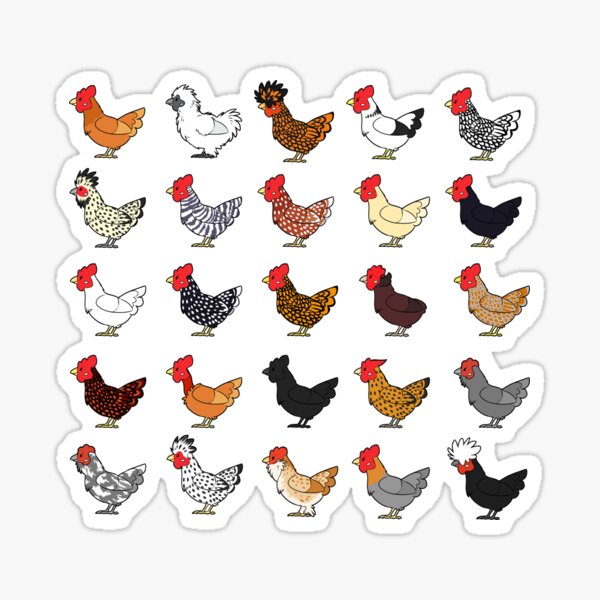 Item preview, Chicken Breeds (captionless) designed and sold by NuclearLemons.