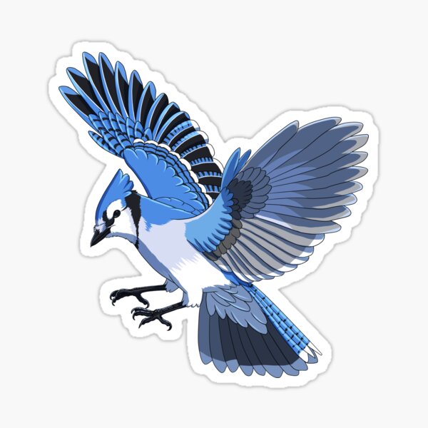 Blue Jay SVG Printable Clipart Blue Jay Png Iron on Transfer 