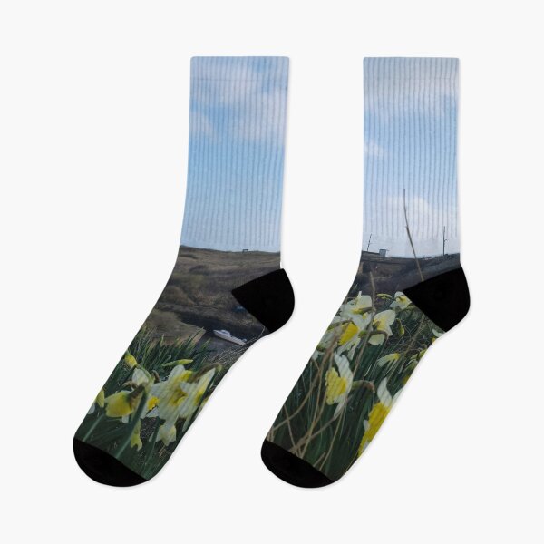 Item preview, Seaton Sluice Harbour Daffodils designed and sold by Violaman.