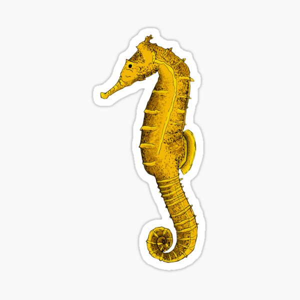 Seahorse Sticker