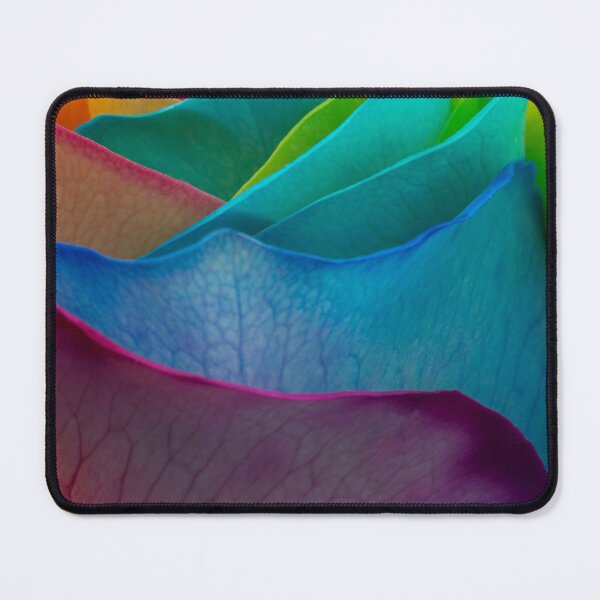 Item preview, Closeup of colorful rainbow rose designed and sold by Claudia Cooper.