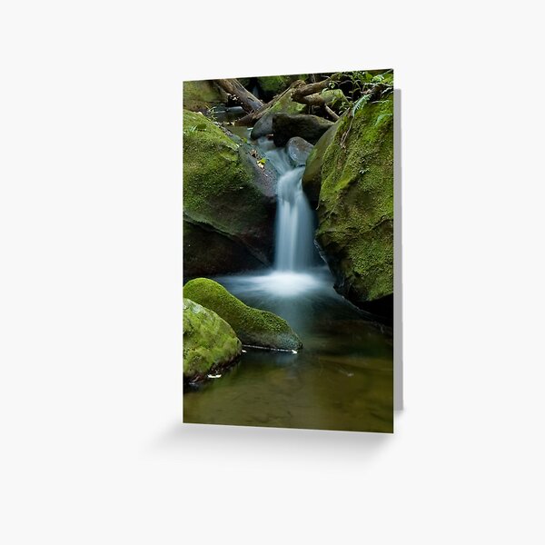 Enchanting Creek Greeting Card