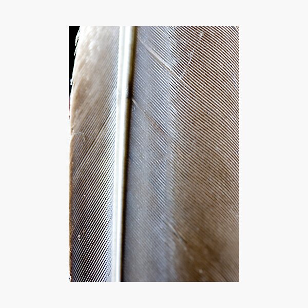 Item preview, Naturally Feathered 2 designed and sold by Josh Prior.