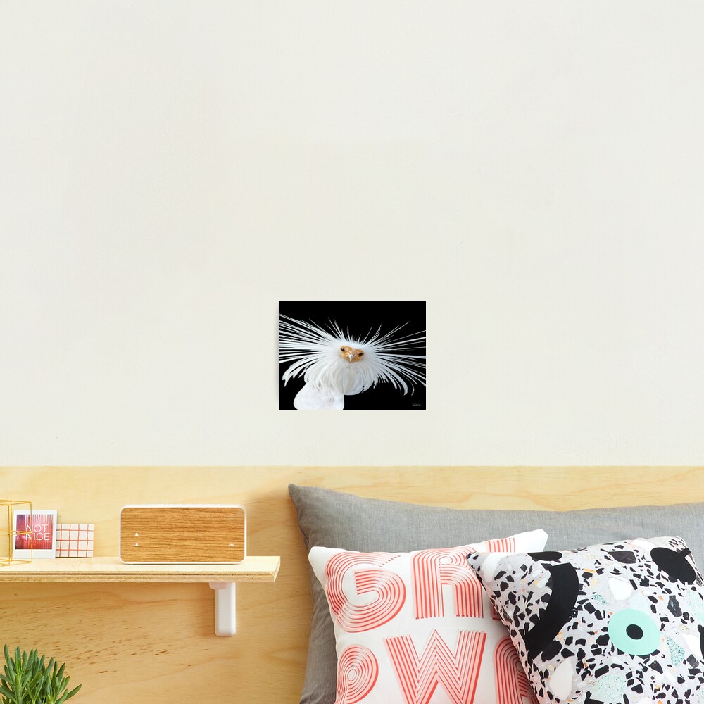 Item preview, Photographic Print designed and sold by PStratton.