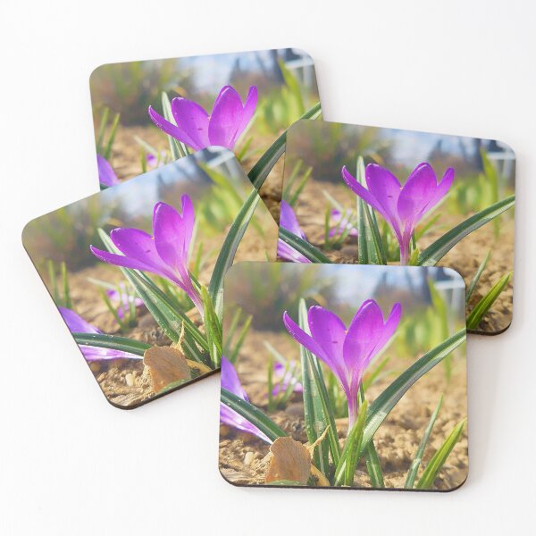 Item preview, Purple Crocus Close Up designed and sold by DesignMore21.