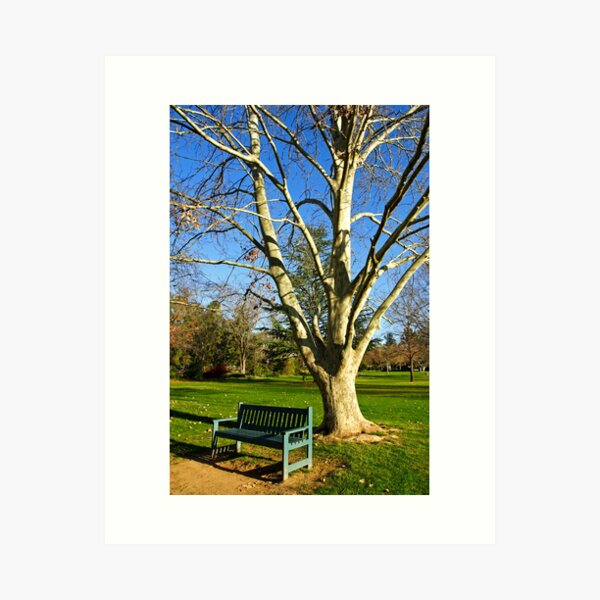 Item preview, Wagga Wagga Botanic Gardens designed and sold by Darren Stones.