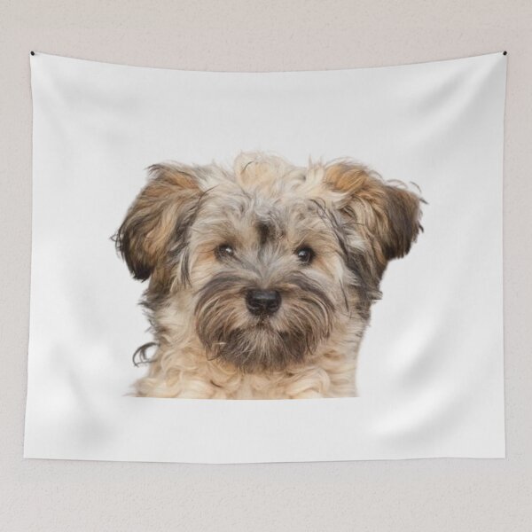 Item preview, CUTE LONG HAIRED PUPPY #1 designed and sold by giantstep.