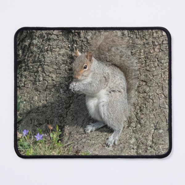 Item preview, The Original Squirrel Nut Zipper designed and sold by Lanis Rossi.