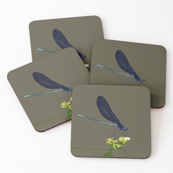 Item preview, ebony jewelwing designed and sold by JanineEK.