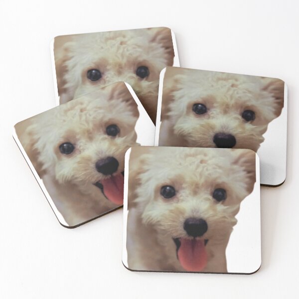 Item preview, CREAM TOY POODLE designed and sold by giantstep.