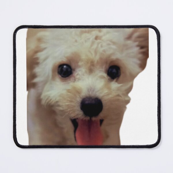 Item preview, CREAM TOY POODLE designed and sold by giantstep.
