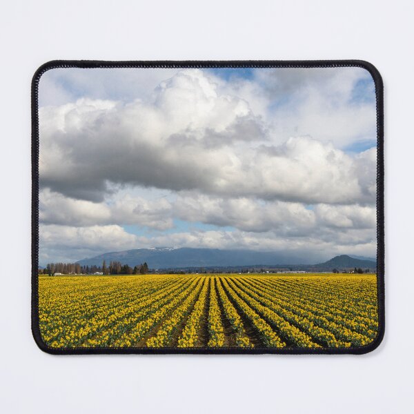 Item preview, Daffodil Season designed and sold by Barb White.